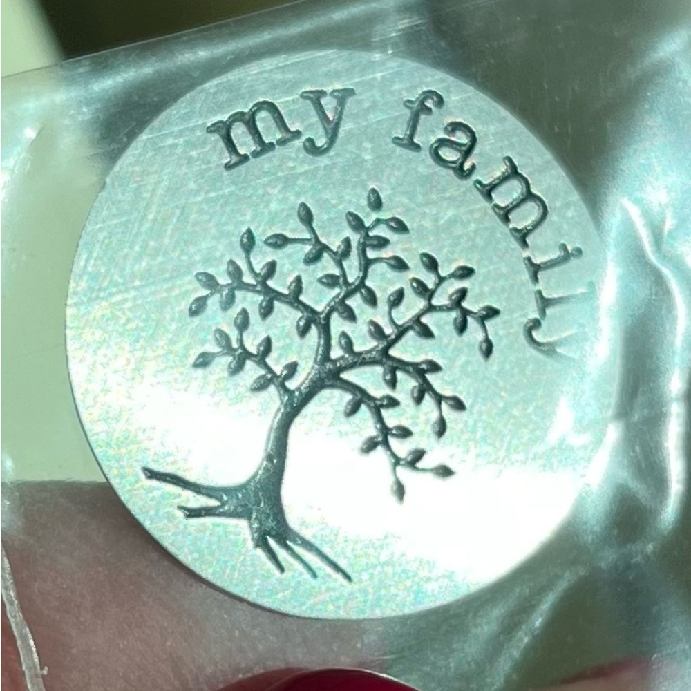 Origami Owl large silver my family plate